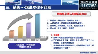新媒体冲击下的全网营销实战 智慧中国联盟厦门信息技术咨询服务的探索