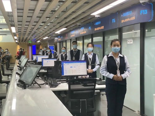 北京城市副中心政务服务中心下周正式开厅运行，提供高效信息技术咨询服务