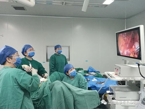 技术创新与服务用心 以信息技术咨询服务推动医院高质量发展